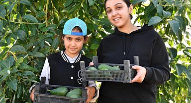 Avokado üreticileri en çok kazanan oldu