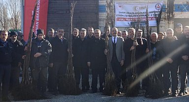 Bilecik Gölpazarı'nda hibeli ceviz fidanları dağıtıldı