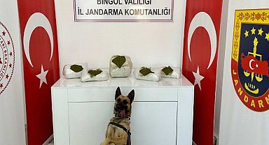 Bingöl'de toprağa gömülü toz esrar bulundu