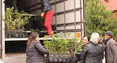 Çiftçilere aronya desteği