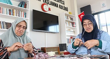 Çınarlarımız Kocaeli'de hayatın içinde