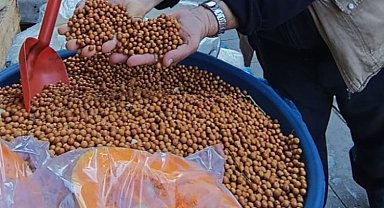 Dağdağan hem şifa, hem de çocukların oyun kaynağı