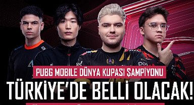 Dünya Şampiyonu bu hafta İstanbul'da belli olacak