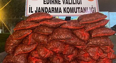 Edirne Jandarması 600 kilogram kaçak midye ele geçirdi