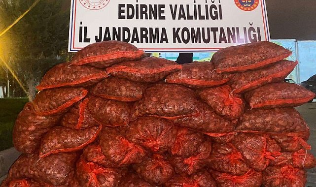 Edirne Jandarması 600 kilogram kaçak midye ele geçirdi