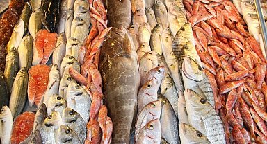 Egeli balıkçılar ihracatta 1 milyar doları aştı