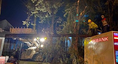 Fırtına çatıları uçurdu, ağaçlar devrildi