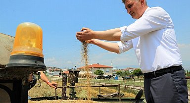Göcük'te bu kez yem bitkisi yetişecek