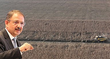Hazine'ye ait araziler 80 bin çiftçiye kiralandı