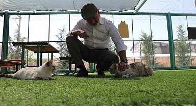 Kayseri'de Küçük Dostlar Kedi Kasabası'na ilgi akını