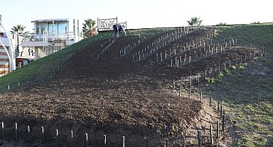 Kocaeli Büyükşehir'den kente estetik dokunuşlar