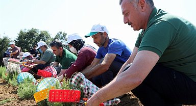 Kocaeli'den tarıma 236 milyon TL destek