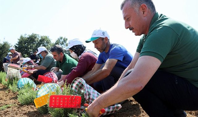 Kocaeli'den tarıma 236 milyon TL destek