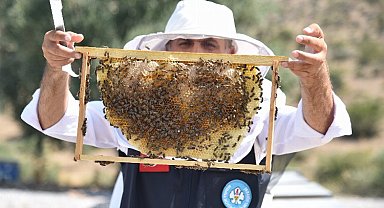 Manisa'dan arıcılara 'kovan' desteği