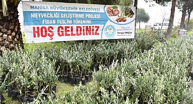 Manisa'dan üreticiye bu kez fidan desteği