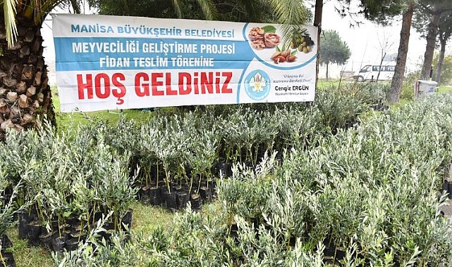 Manisa'dan üreticiye bu kez fidan desteği