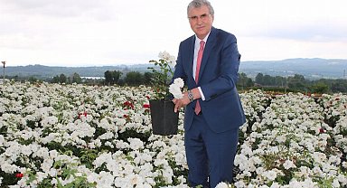 Sakarya'nın bereketi dünya sahnesine taşınıyor