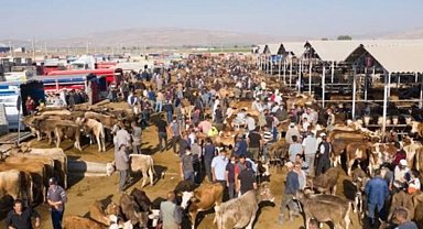 Şarkışla'daki şap karantinası TBMM gündeminde