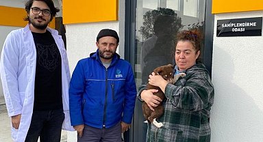 Sokak Hayvanları Bakımevi'nde ilk sahiplendirme yapıldı