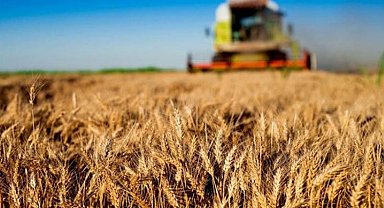 Tarım-ÜFE Kasım'da geriledi