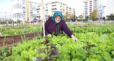 TARIMDA ‘MAHALLE’ SEFERBERLİĞİ