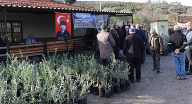 Yangın mağdurlarına Manisa Büyükşehir'den fidan desteği