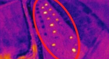 Adıyaman'da Jandarma kaybolan sürüyü İHA ile buldu