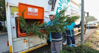 Ağaç dalları gübreye dönüşüyor