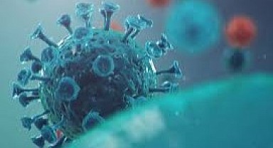 Aile Hekimleri: “İnfluenzadaki artış dikkat çekici boyutlarda, maske kullanılması çok önemli”