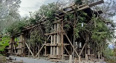 Bodrum'da kaçak inşaatı ağaç dallarıyla gizlemeye çalıştılar