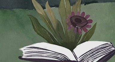 Bodrum'dan kitapseverlere müjde