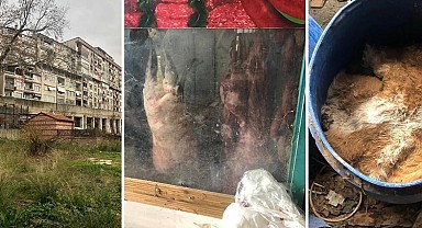 Bursa'da insan sağlığını hiçe saydılar, çürümüş etler ele geçirildi