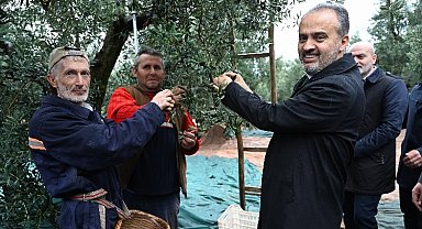 Bursa'da toprağa Büyükşehir bereketi