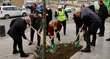 Büyükçekmece yeni yıla 24 mahalleye ağaç dikerek girdi