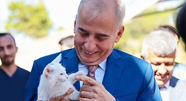 Denizli Büyükşehir'in şefkat yuvası can dostları ağırlıyor