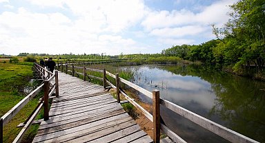 Doğa harikası longoz 140 binden fazla ziyaretçiyi ağırladı