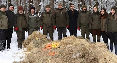 Düzce'de yaban hayvanları için yem bırakıldı