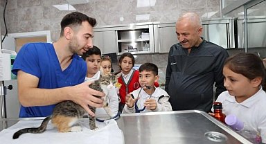 Gebze'de 2023 patili canların yılı oldu