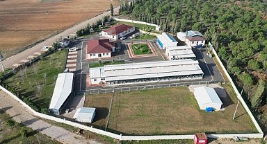 İnegöl can dostlarının güvenli yuvası