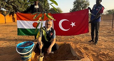 İşsizliğe karşı mango diktiler