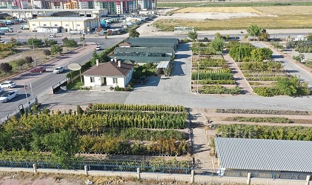 Kayseri Kocasinan en büyük fidanlığı kurdu
