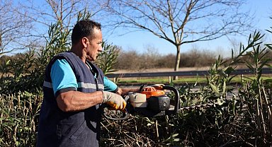 Kocaeli'de ağaçlara kış bakımı