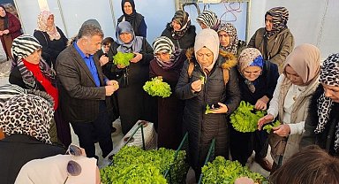 Kocaeli'nde topraksız tarıma kadın çiftçilerden yoğun ilgi