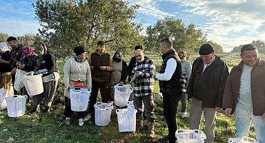 Manisa Akhisar'da zeytin üreticisine koruyucu malzeme