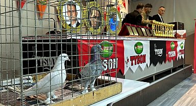 Oyun kuşları hünerlerini Gölcük'te sergiledi