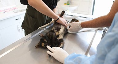 Sakarya'dan can dostlarına en iyi hizmet