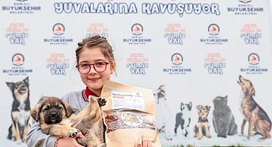 Şefkat yuvası 2023'te 28.665 can dostu ağırladı