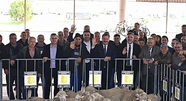 Üreticiye koç desteği