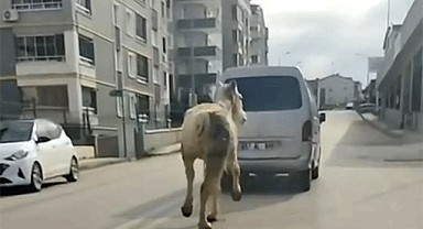 Bursa'da tepki geçen görüntü!