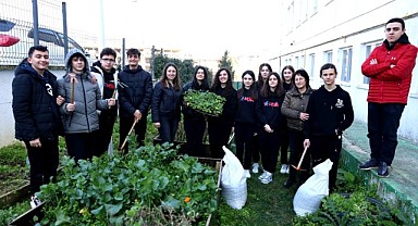 Ders arasında fide ektiler
